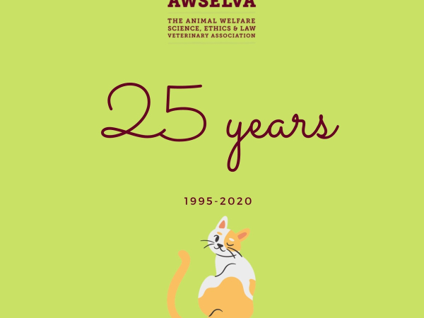 25 years anniversary